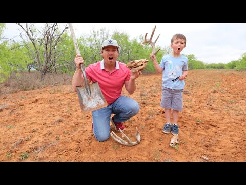 Kids adventure digging and finding bones