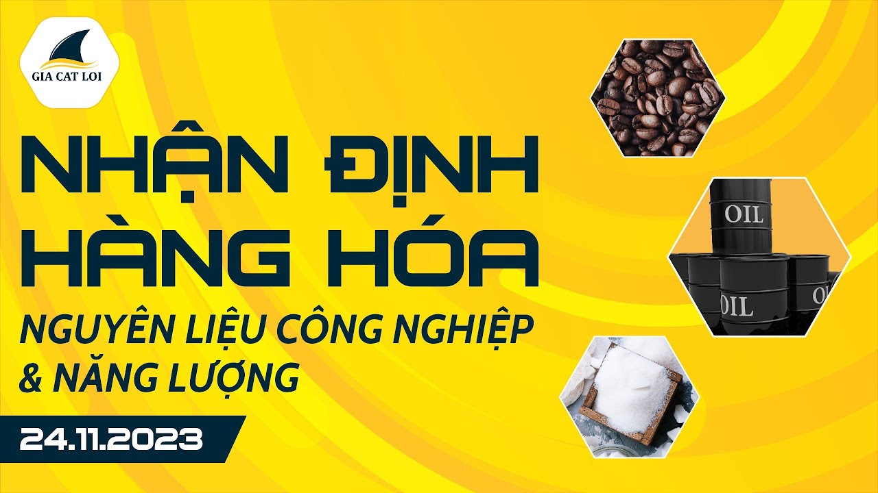 Nhận Định Hàng Hoá Năng Lượng 24/11/2023