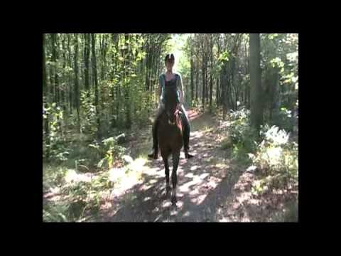 download lagu mp3 mp4 Sprong Over Het Veen, download lagu Sprong Over Het Veen gratis, unduh video klip Sprong Over Het Veen