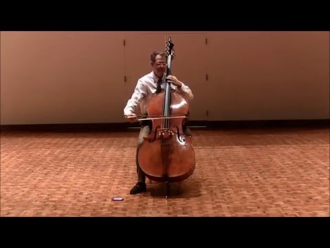J.S. Bach: Cello Suite No. 6, Sarabande