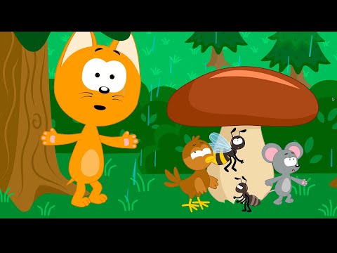 Rain is Going Mushroom is Growing - Kote Kitty Kids Songs