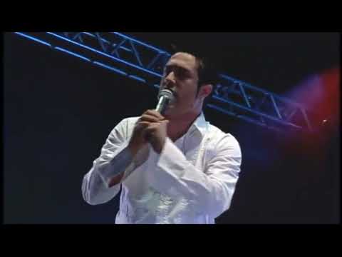 Chega de Drama - Gatinha Manhosa #TúneldoTempo