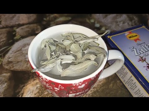 Biljka koja SPASAVA - ŽALFIJA LEČI SVE OVE BOLESTI!