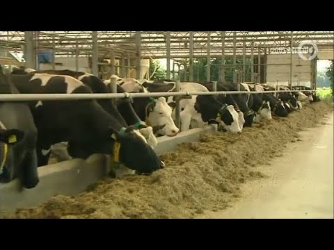 GLD Nieuws 27 augustus 2013 - Nieuws