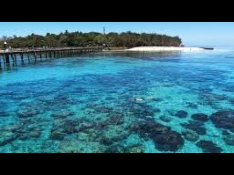 This day was insane! Green Island.