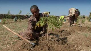 preview picture of video 'How climate change is affecting Ethiopia'