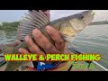 Video Thumbnail for Fishing  for Walleye & Perch | Blackstrap Reservoir - Part 2