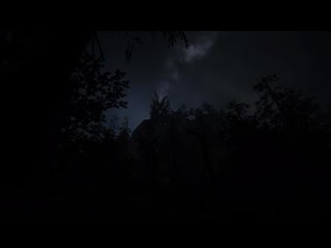 Outlast 2 pt23