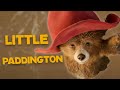Paddington Young Paddington Is Rescued Amazing Adventures