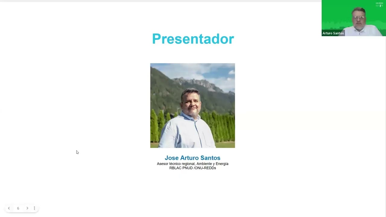Café libre de Deforestación: De la Finca al Consumidor | Webinar ONU-REDD (Viernes 13)