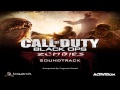 Black Ops Zombies Soundtrack - The One 