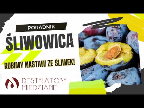 Środki folk z kamienia na palcu Narośl na wyciągnięcie ręki