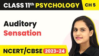 Auditory Sensation - Sensory, Attentional & Perceptual Processes | Class 11 Psychology Chapter 5