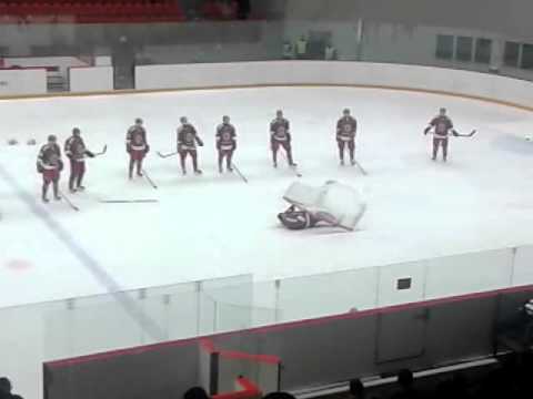 HC Frydek-Mistek vs. HC RT TORAX PORUBA 12:3