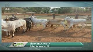 Miniatura do vídeo