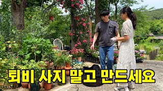 너무나 쉬운 천연 비료 만들기(커피박, 음식물, 상토, 식물 재활용)