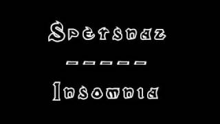 Spetsnaz - Insomnia (Cover)