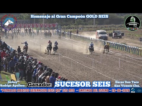 SUCESOR SEIS (San Vicente Cordoba) Hipodromo 27 de Abril S. E. 28-06-2026