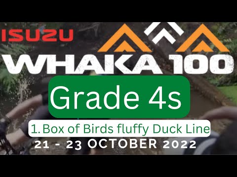 Grade 4s of the Whaka 100 - No 1 Box of Birds Fluffy Duck Line