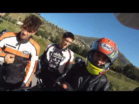 bastardboy FRIENDS,WHEELIES,POLICE