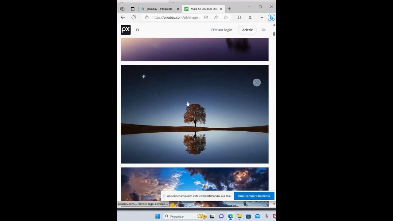 Banco de imagens grátis pixabay, faça vídeos com imagens garris
