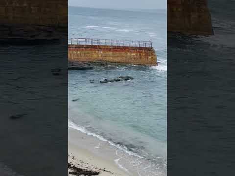 #cover #beach #music #travel #californiacity #queenelizabeth #lifeisbutadream #choir #coverartist