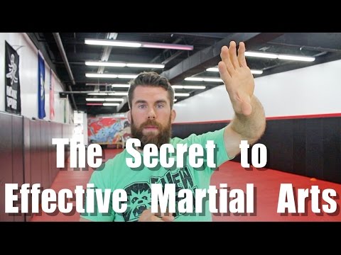 Brazilian Jiu-jitsu or Japanese Jujutsu ?