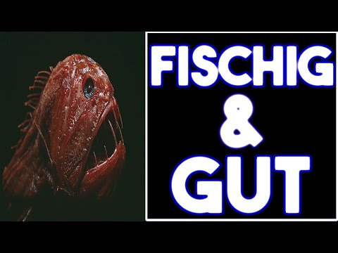 Fischig und gut - Die Marke deines Vertrauens - Fizz Gameplay