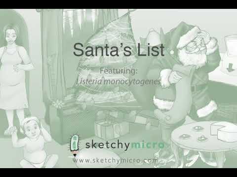 Gram positive bacilli(1)