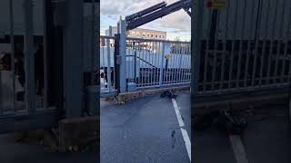 BFT - Moteur de proximité Icaro NF | Image 4 - Machineryline