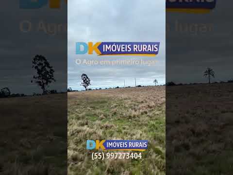 🚨 566 HECTARES DE OPORTUNIDADE EM LAVRAS DO SUL/RS! 🚜🌱