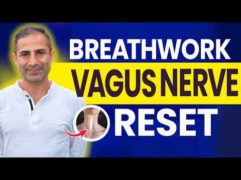 10 Minute Daily Breathwork For Nervous System Regulation | Vagus Nerve Stimulation