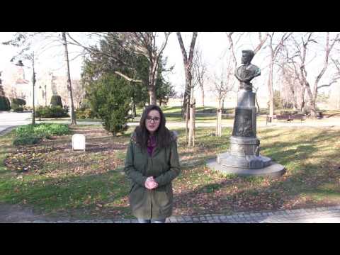 Spomenici u prestonici - Vojislav Ilić