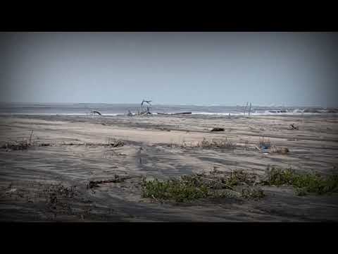 Bandar beach video || beach videos || amazing nature vlogs