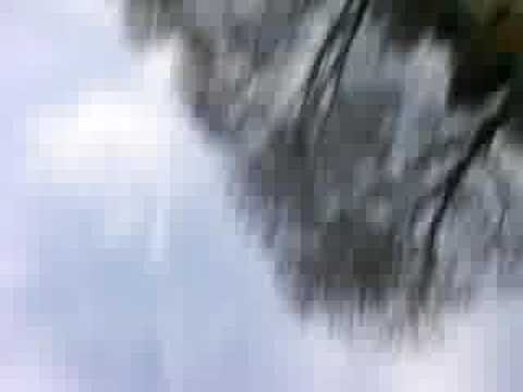 backtuck on beach(how it looks like)