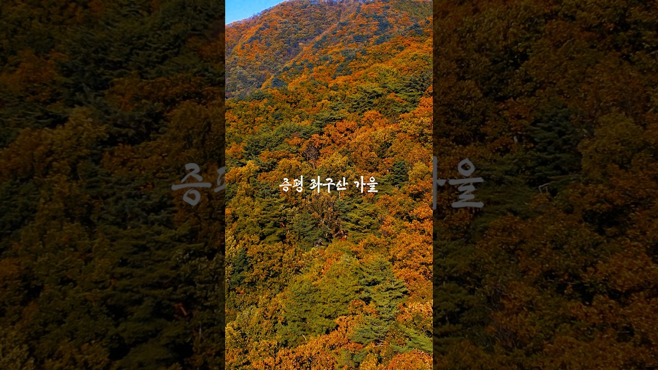 🍁증평 좌구산 가을, 증말 좋아유🍂