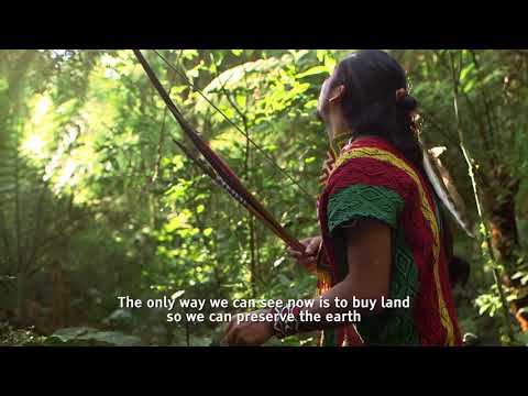 Entrevista Mapu Huni Kui