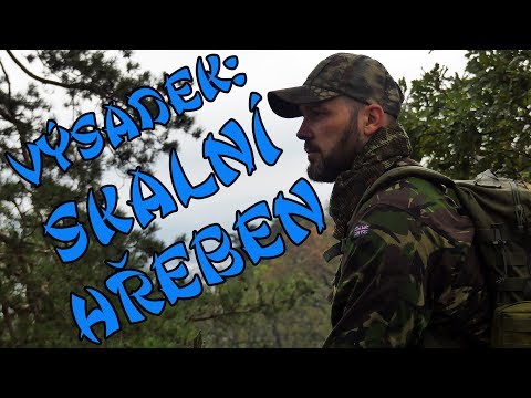 Výsadek: Skalní Hřeben - Vranov 🌳