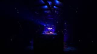 Baustelle live Parco della Musica Roma - La musica sinfonica