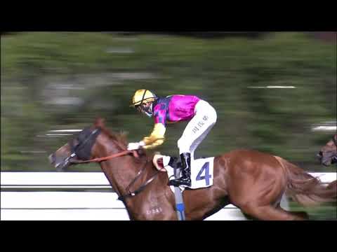 6/1/2021 (317) Fortune Hero -  C L Chau