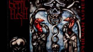 Septic Flesh - Heaven Below
