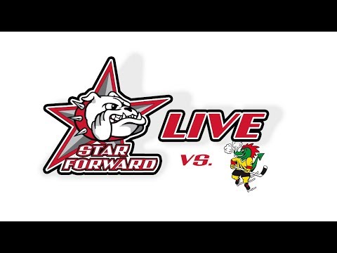 MySports League Star Forward – EHC Wiki Münsigen