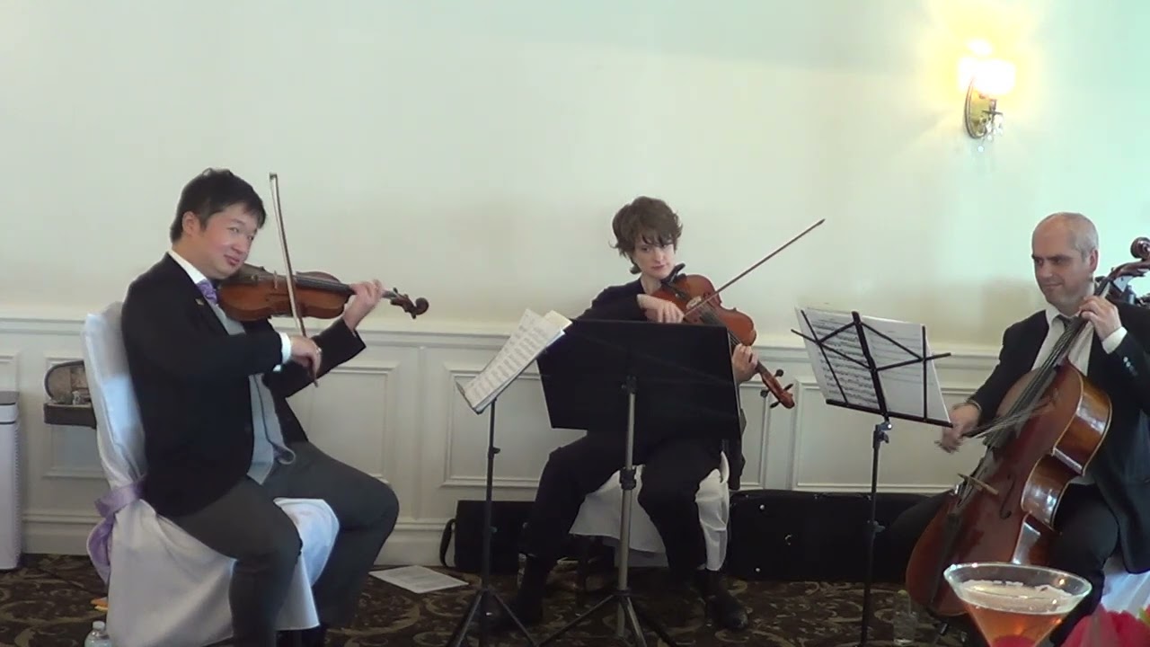 Promotional video thumbnail 34 for Xinou Wei Strings
