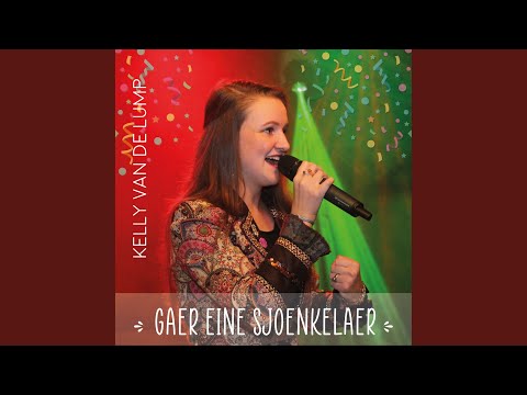 Gaer Eine Sjoenkelaer