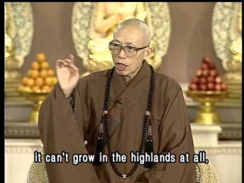download lagu mp3 mp4 Lotus Enlightenment, download lagu Lotus Enlightenment gratis, unduh video klip Lotus Enlightenment