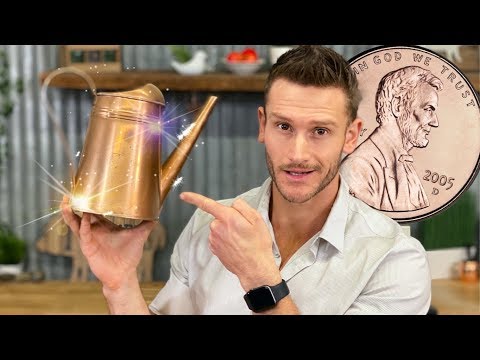 6 Tell Tale Signs of a Copper Deficiency