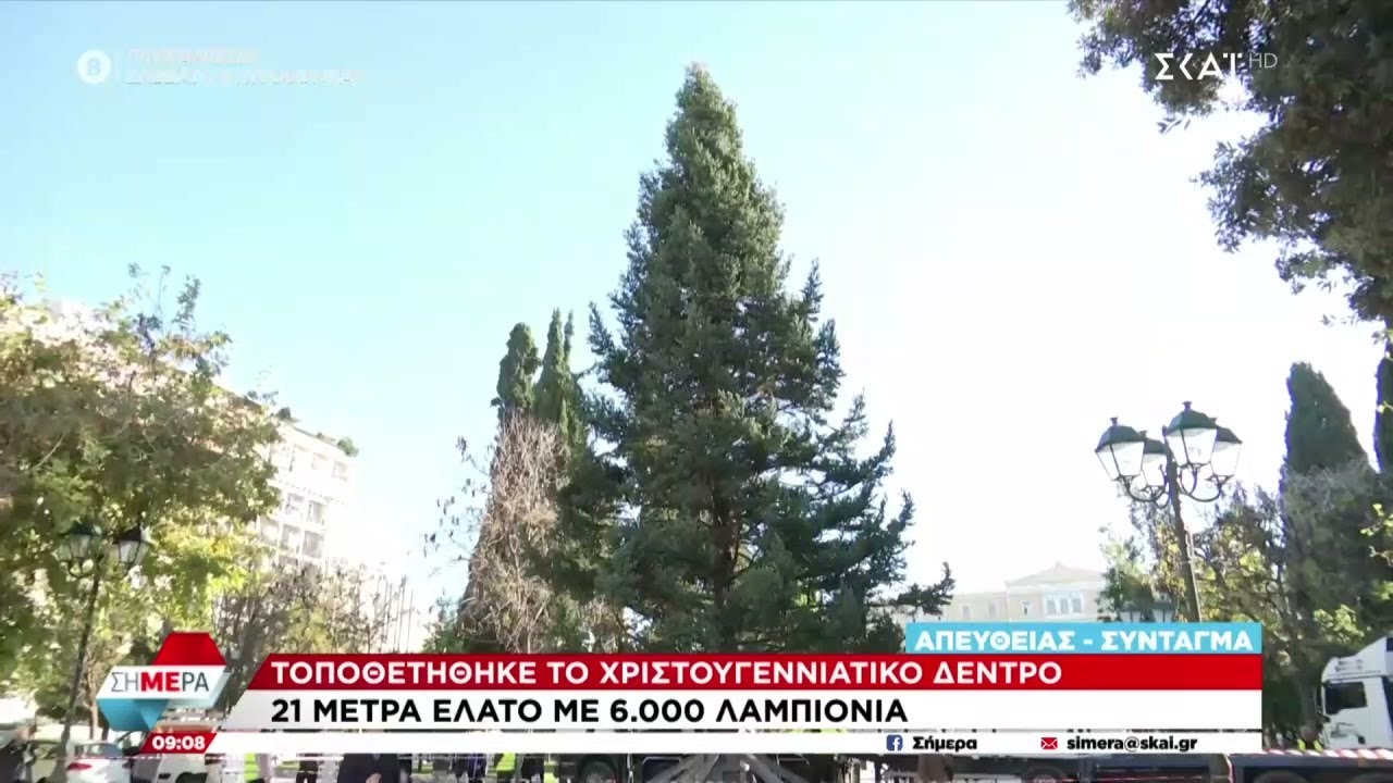 Weihnachtsbaum auf Syntagma installiert