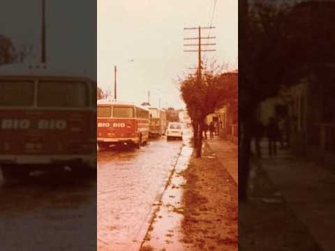 Empresas iconocas del sur de Chile Buses Bío Bío, Temuco 1960 fundada  por Carlos Bugmann Spielmann.
