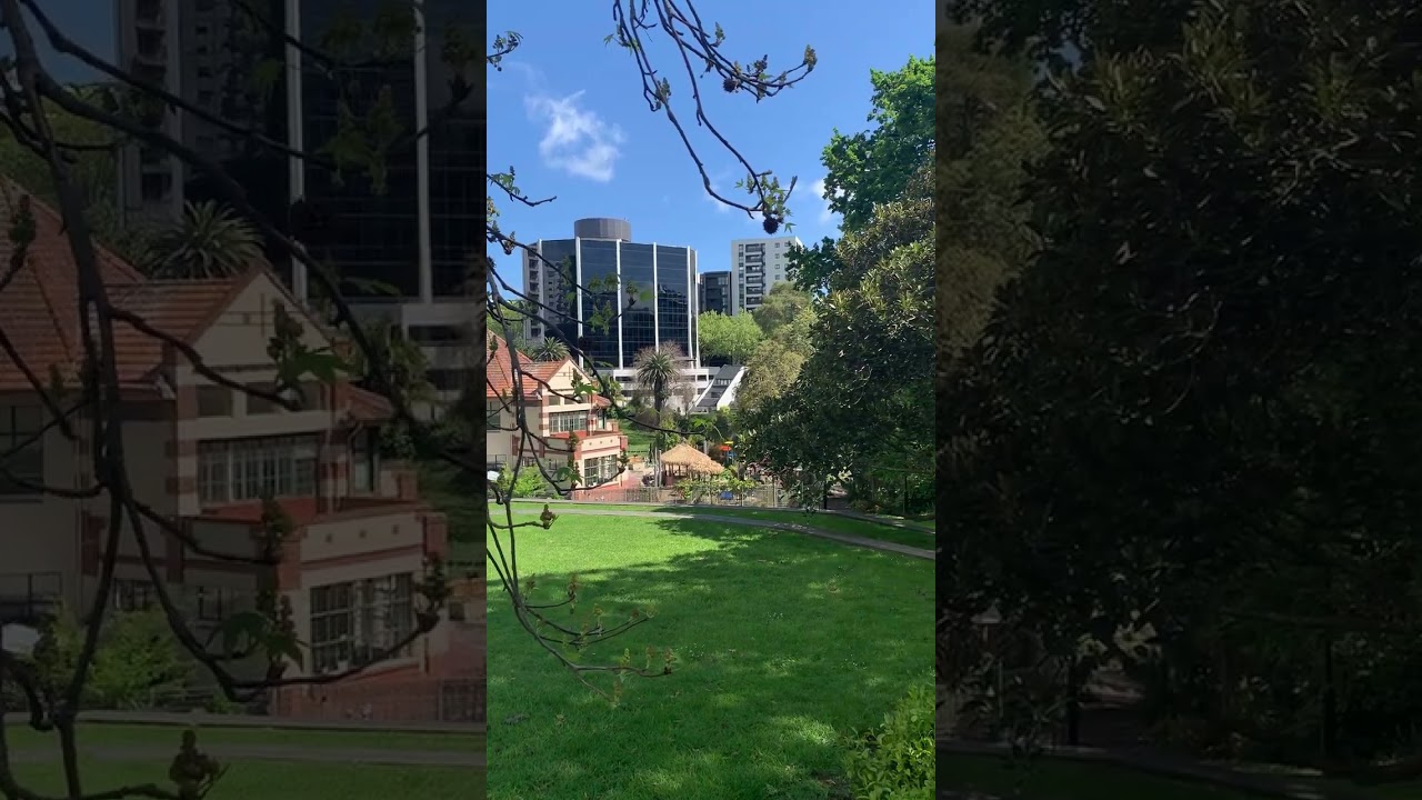 YouTube Short thumbnail