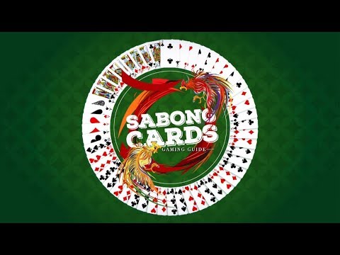 용호 (드래곤타이거) 게임 완벽 정리